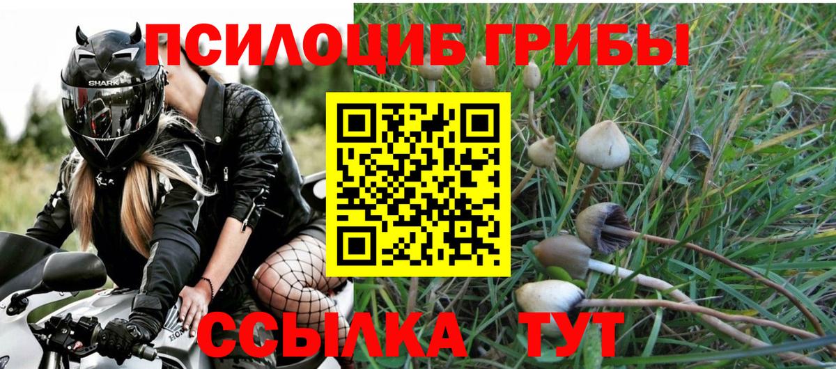 Галлюциногенные грибы мицелий  что такое наркотик  Аксай  Вход с VPN 